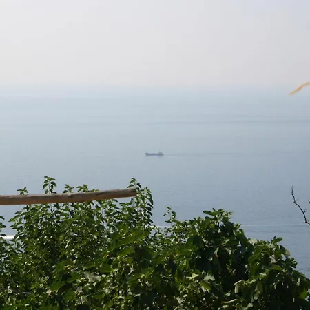 Domus Julia * Furore